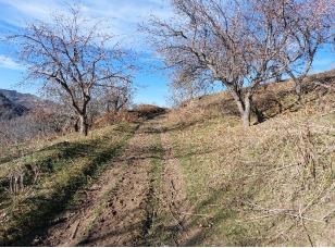 Земельным участком общей площадью  4,6 га. Кадастровый номер 03:051:039:047. Местонахождение - Алматинская обл., Талгарский р-н., с.о. Бескайнарский, с. Бескайнар, уч. кв. 039, уч. 1153.
