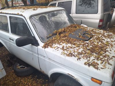 Бренд: АВТОМОБИЛЬ "ЛАДА 21214-176"; Гос. номер: 323ВА04