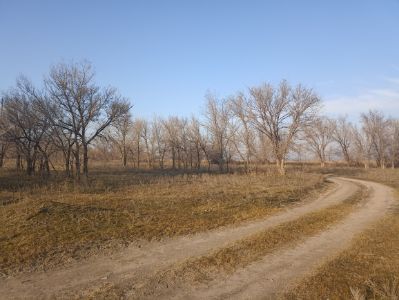 Земельный участок, общей площадью 120,0000 га, с правом на постоянное землепользование, кадастровый номер земельного участка 03:051:253:041, местонахождение Алматинская обл., Талгарский р-н, Нуринский с.о.