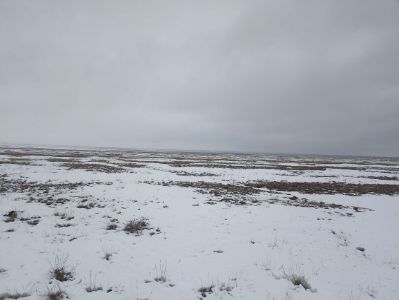 Земельный участок, общей площадью 234,00 га, с правом частной собственности, кадастровый номер земельного участка 03:052:081:084, местонахождение Алматинская обл., Уйгурский р-н, из земель запаса района ориен. мест. уч. Калжат