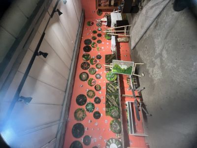 Нежилое помещение - общей площадью 160,00 кв. м. находится в здании Алматинская база МТС. Местонахождение - г. Алматы Турксибский район, ул. Сортировочная, д. 1/2.Целевое назначение объекта аренды – под склад.