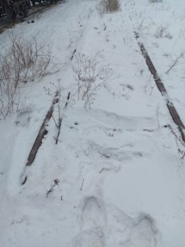 Специальный деповской путь для отстоя вагонов №276,277 расположенные по Павлодарской области станция Екибастуз-2 парк «Ж» Ангар