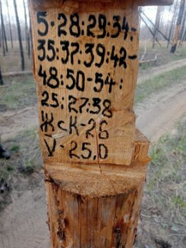 Лесопродукция (древесина на корню) Аманкарагайского лесничества, расположенная в квартале 5 выдел 25,27-29,34,35,37-39,42-48,50-54 деляна № 5