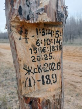 Лесопродукция (древесина на корню) Аманкарагайского лесничества, расположенная в квартале 4 выдел 1,3-6,10,14-16,18-20,25 деляна № 1