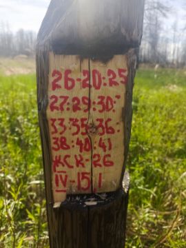 Лесопродукция (древесина на корню) Аманкарагайского лесничества, расположенная в квартале 26 выдел 20,25,27,29,30,33,35,36,38,40,41 деляна № 4