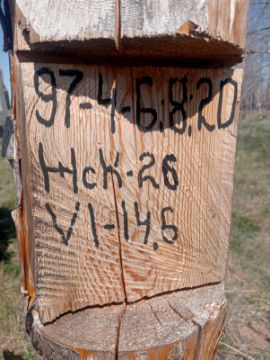 Лесопродукция (древесина на корню) Аманкарагайского лесничества, расположенная в квартале 97 выдел 4-6,8,20 деляна № 6