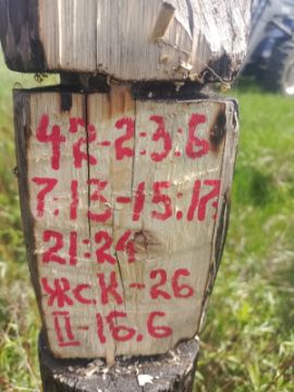 Лесопродукция (древесина на корню) Аманкарагайского лесничества, расположенная в квартале 42 выдел 2,3,6,7,13,14,15,17,21,24 деляна № 2