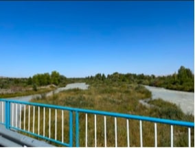 Земельный участок общей площадью 24,8 га. Кадастровый номер 24:263:029:303. Местонахождение - Алматинская область, Сарканский р-н., с.о. Черкасский , уч.303.