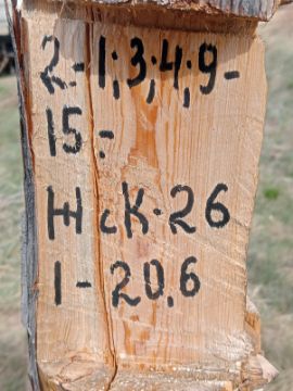 Лесопродукция (древесина на корню) Аманкарагайского лесничества, расположенная в квартале 2 выдел 1,3,4,9-15  деляна № 1