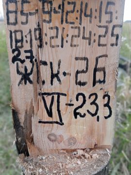 Лесопродукция (древесина на корню) Аманкарагайского лесничества, расположенная в квартале 85 выдел 9,10,11,12,14,15,18,19,21,24,25,27 деляна № 6