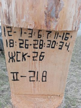 Лесопродукция (древесина на корню) Аманкарагайского лесничества, расположенная в квартале 12 выдел 1-3,6,7,11-16,18,26-28,30,34 деляна № 2