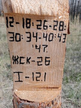 Лесопродукция (древесина на корню) Аманкарагайского лесничества, расположенная в квартале 12 выдел 18,26-28,30,34-40,43,47 деляна № 1