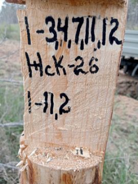 Лесопродукция (древесина на корню) Аманкарагайского лесничества, расположенная в квартале 1 выдел 3,4,7,11,12 деляна № 1