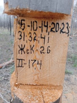 Лесопродукция (древесина на корню) Аманкарагайского лесничества, расположенная в квартале 5 выдел 10-14,20-23,31,32,41 деляна № 2