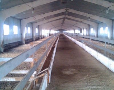 Реконструкция двух коровников под заготовительные пункты по заготовке скота и животноводческой продукции с экспортной инфраструктурой