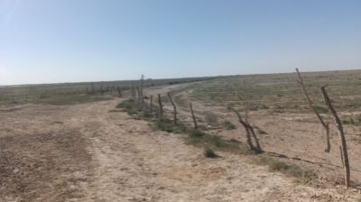 Земельный участок в Туркестанской области