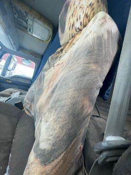 Бренд: ГРУЗОВОЙ АВТОМОБИЛЬ САМОСВАЛ "Foton"; Гос. номер: 147YD02