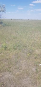 Земельный участок общей площадью 1,7011 га. Кадастровый номер 21:319:141:737. Местонахождение - г. Астана, р-н Сарыарка, пр. Н.Тілендиев, уч. 70/77.