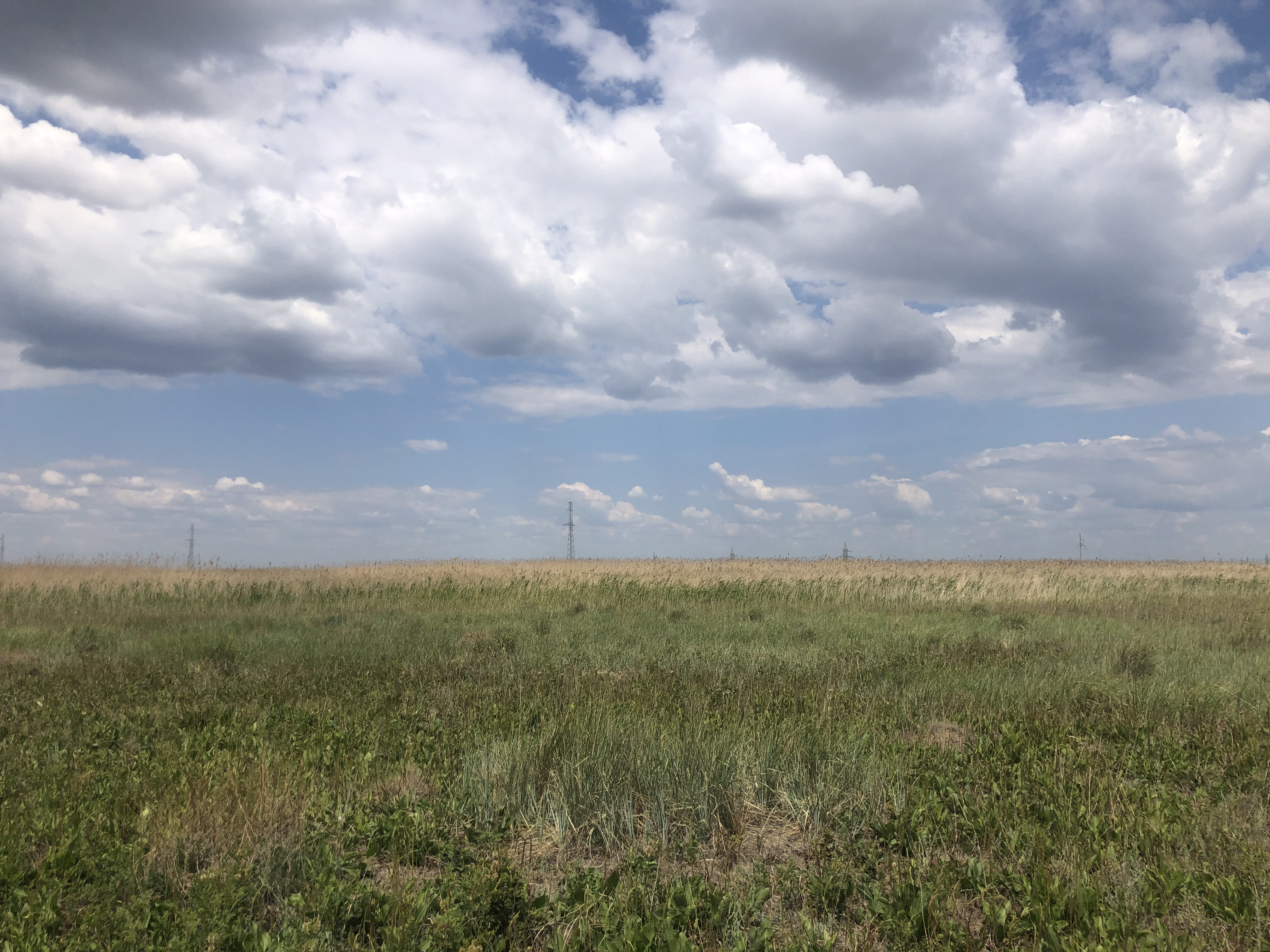 Земельный участок в г.Астана, р-н Нұра, ул.Е388, уч.6.