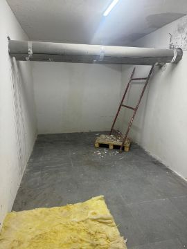 Нежилое помещение №66 (лот №29)