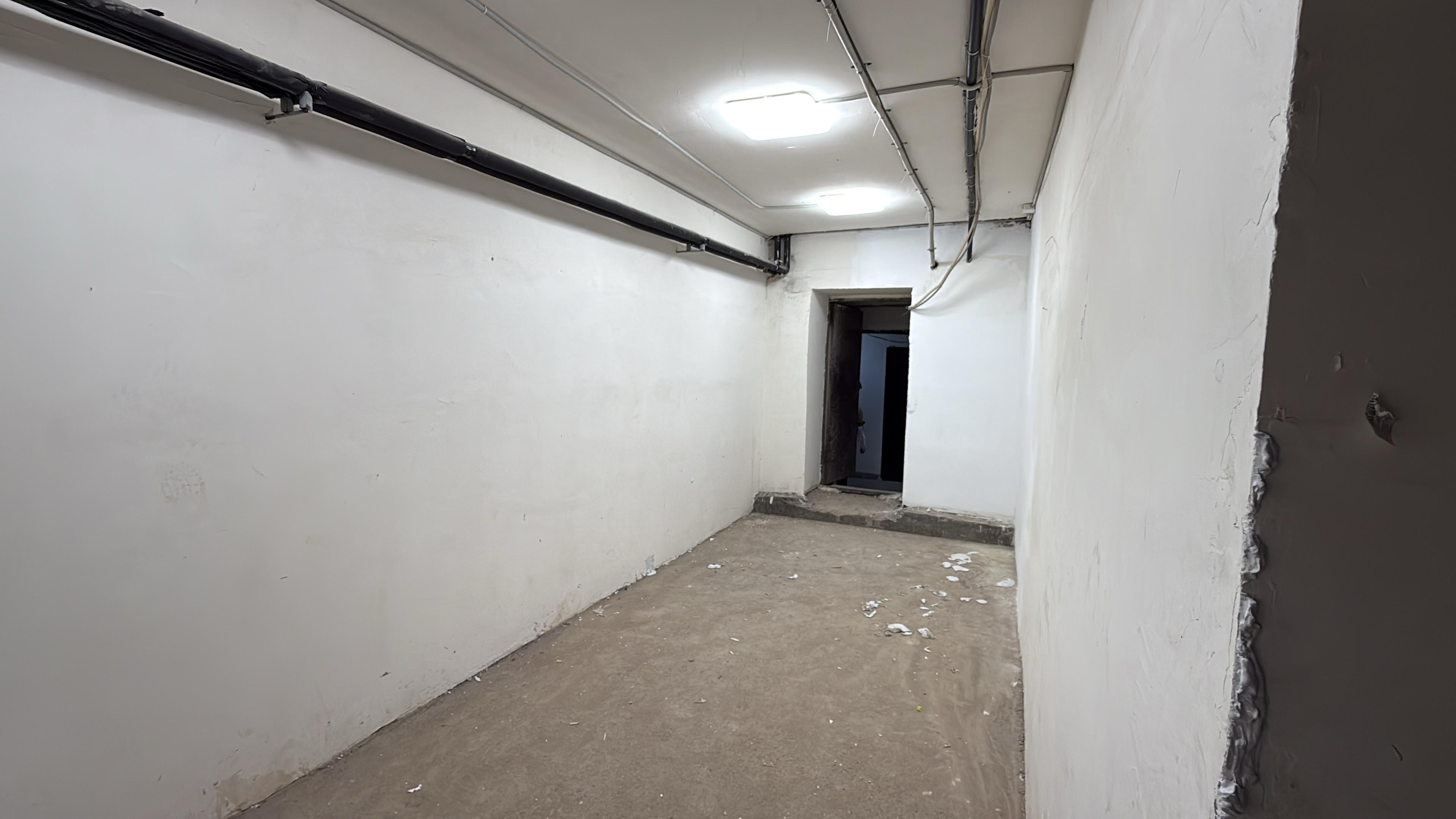 Нежилое помещение №49 (лот №12)