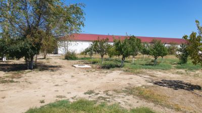 Право временного возмездного землепользования (аренда) на земельный участок, площадью 0.0645 (га) сроком на 6 лет до 27 октября 2027 года с правом продажи по адресу Мангистауская область, Мунайлинский район, с.Мангистау, промзона 1, уч.38/1