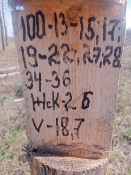; Лесопродукция (древесина на корню) Аманкарагайского лесничества, расположенная в квартале 100 выдел 13-15,17,19-22,27,28,34-36 деляна № 5