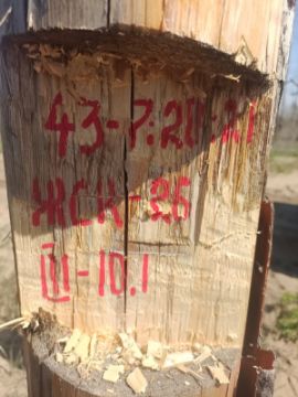 Лесопродукция (древесина на корню) Аманкарагайского лесничества, расположенная в квартале 43 выдел 7,20,21 деляна № 3