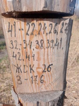 Лесопродукция (древесина на корню) Аманкарагайского лесничества, расположенная в квартале 41 выдел 22,24,26,27,32-34,38,39,41,42,44 деляна № 3