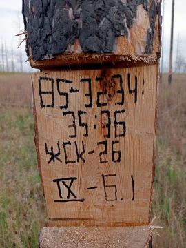 Лесопродукция (древесина на корню) Аманкарагайского лесничества, расположенная в квартале 85 выдел 32,34,35,36 деляна № 9
