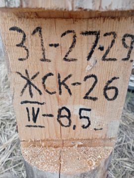 Лесопродукция (древесина на корню) Аманкарагайского лесничества, расположенная в квартале 31 выдел 27,28,29 деляна № 4