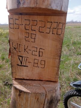 Лесопродукция (древесина на корню) Аманкарагайского лесничества, расположенная в квартале 85 выдел 22,23,28,29 деляна № 7
