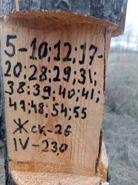 Лесопродукция (древесина на корню) Аманкарагайского лесничества, расположенная в квартале 5 выдел 10,12,17-20,28,29,31,38-41,47,48,54,55 деляна № 4