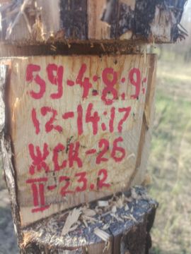 Лесопродукция (древесина на корню) Аманкарагайского лесничества, расположенная в квартале 59 выдел 4,8,9,12,13,14,17 деляна № 2