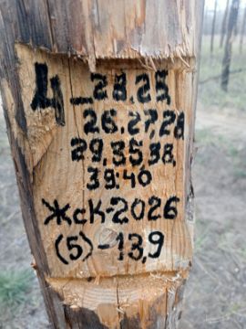 Лесопродукция (древесина на корню) Аманкарагайского лесничества, расположенная в квартале 4 выдел 23,25-29,34,35,38-40  деляна № 5